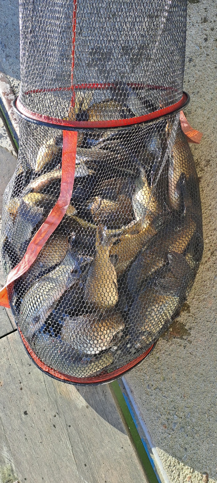 KakaoTalk_20250714_140538784_14.jpg