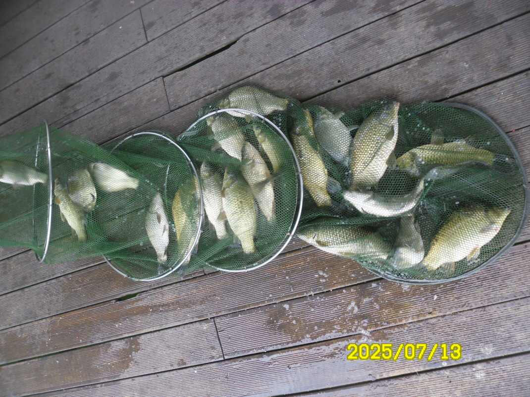 SAM_4300.JPG