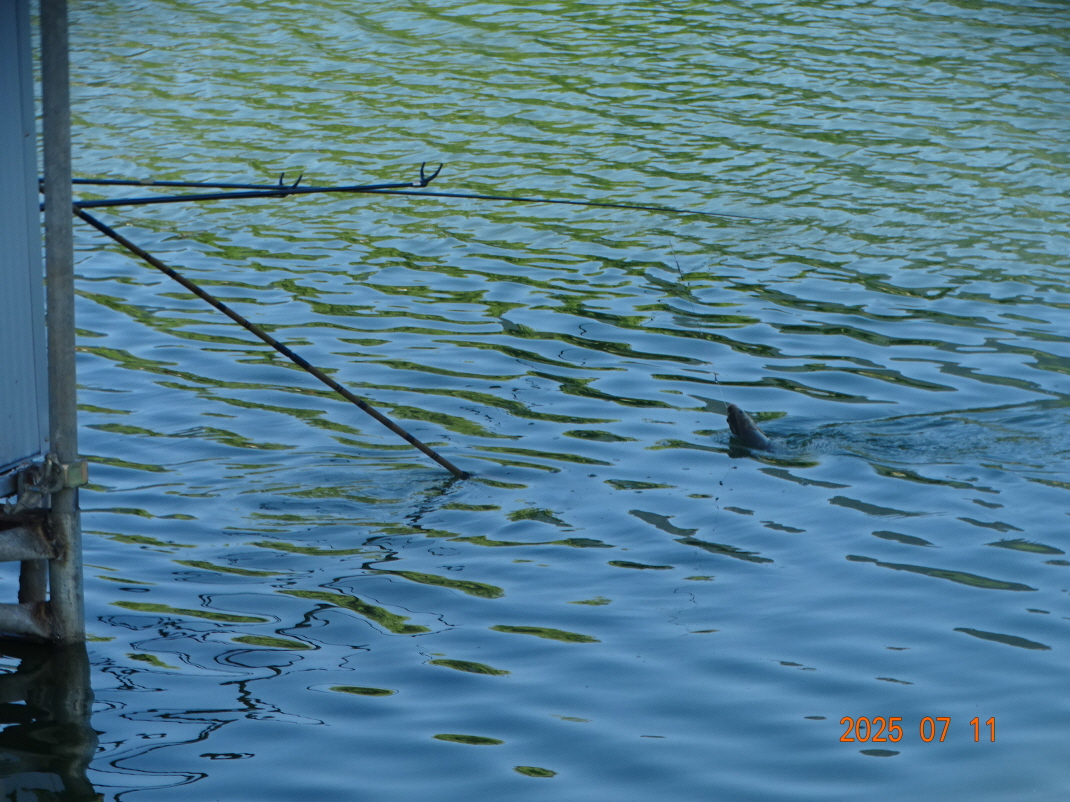DSC04413.JPG