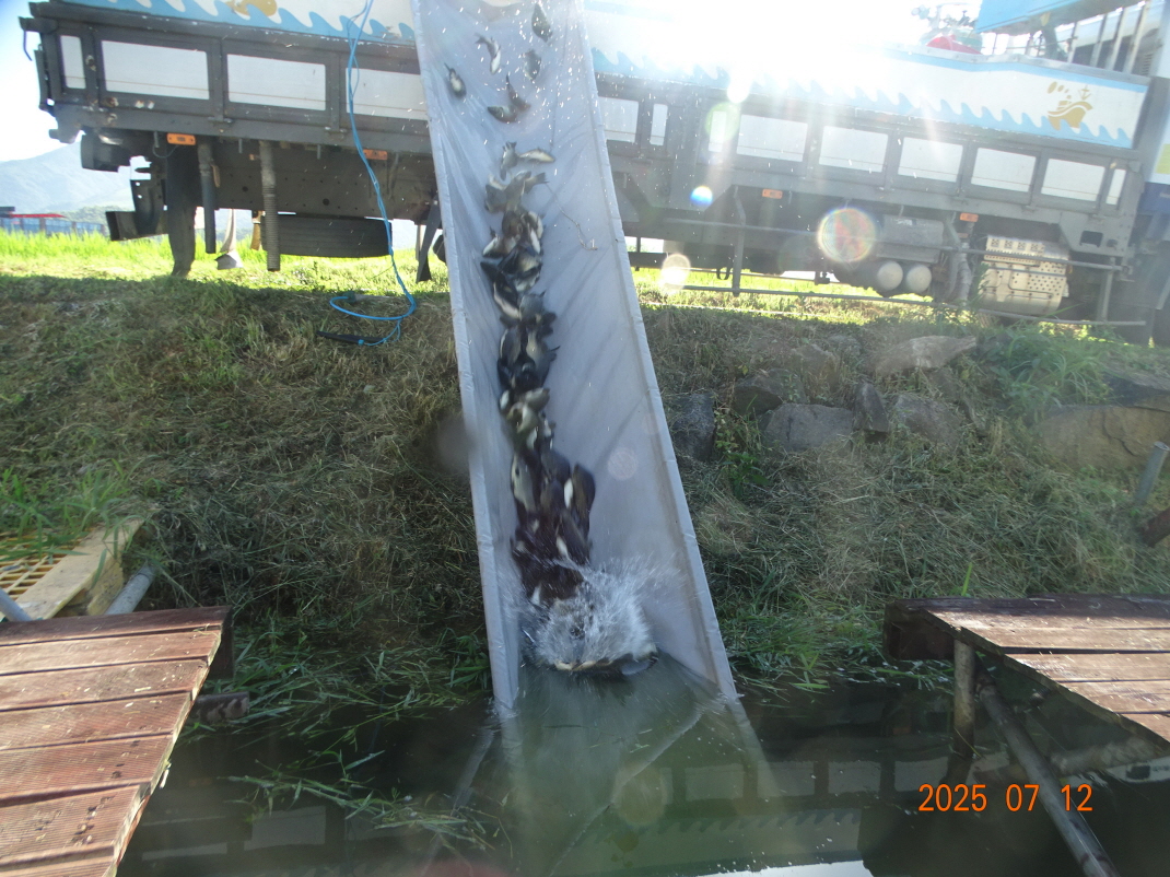 DSC04440.JPG
