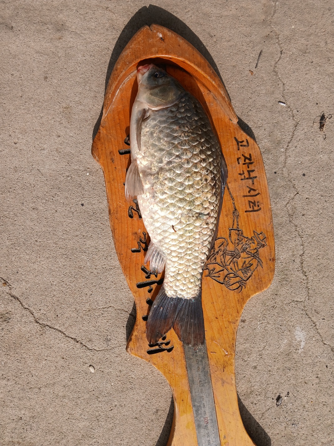 KakaoTalk_20250714_084120625_03.jpg