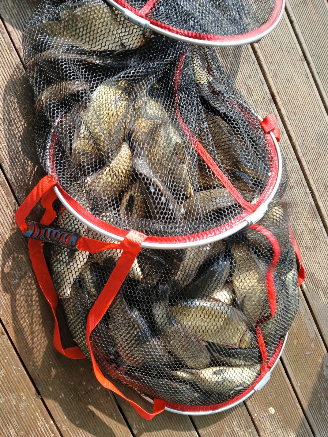 KakaoTalk_20250714_083007027_02.jpg