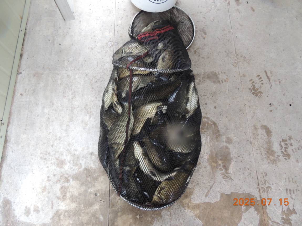 DSCN5180.JPG