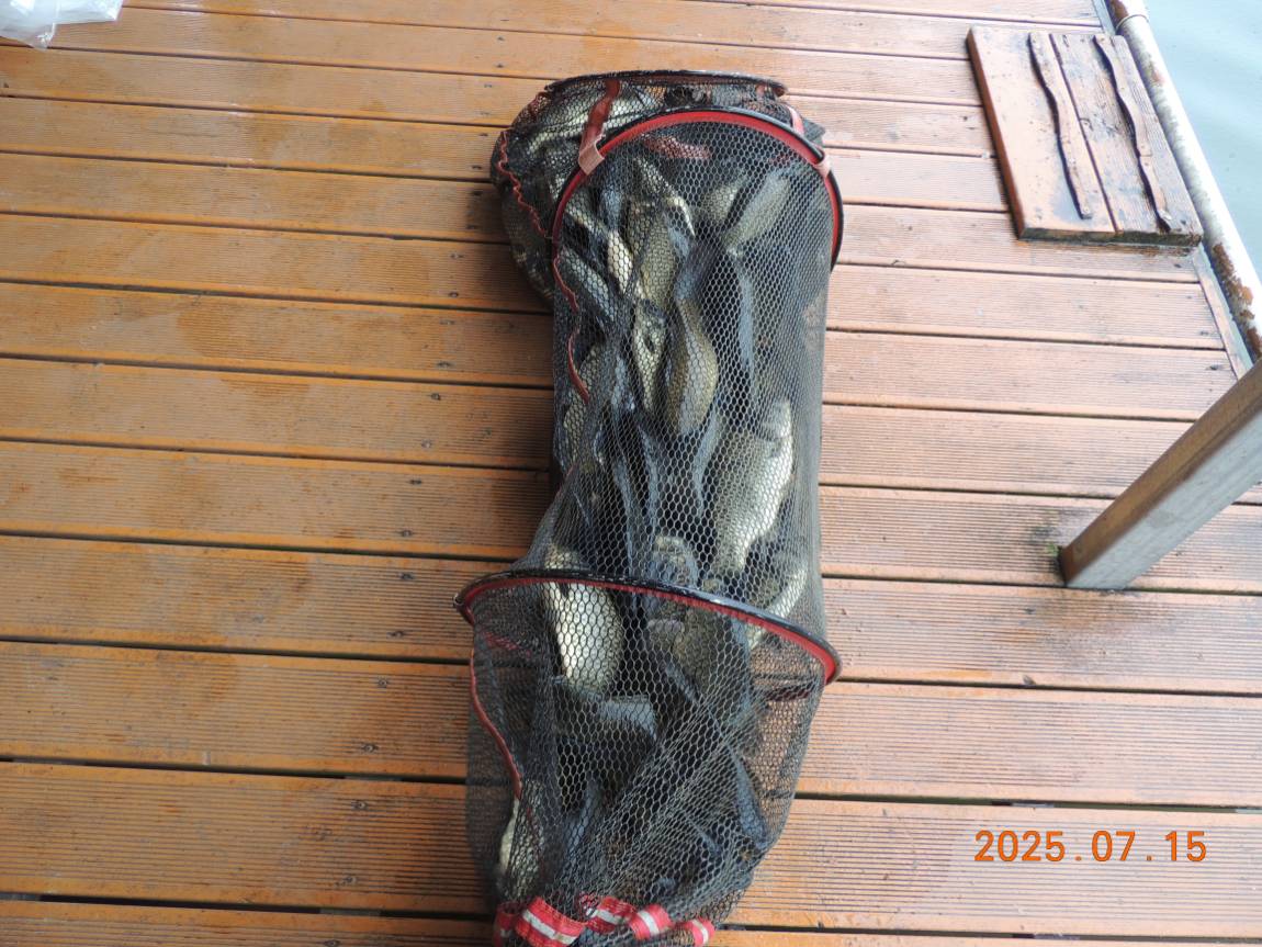 DSCN5198.JPG