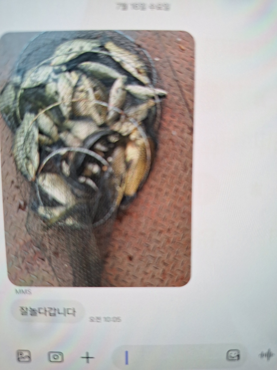 KakaoTalk_20250716_112515372_01.jpg