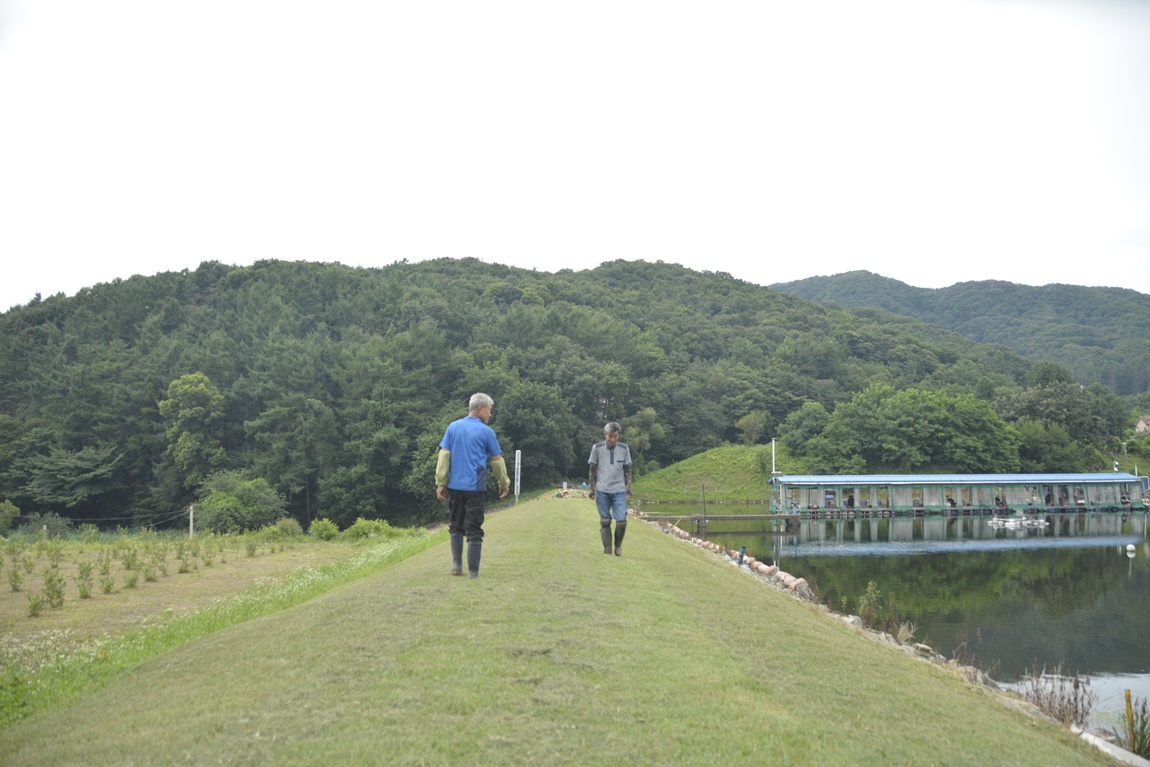 _7102080.JPG