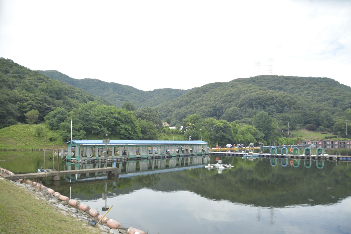 _7102082.JPG
