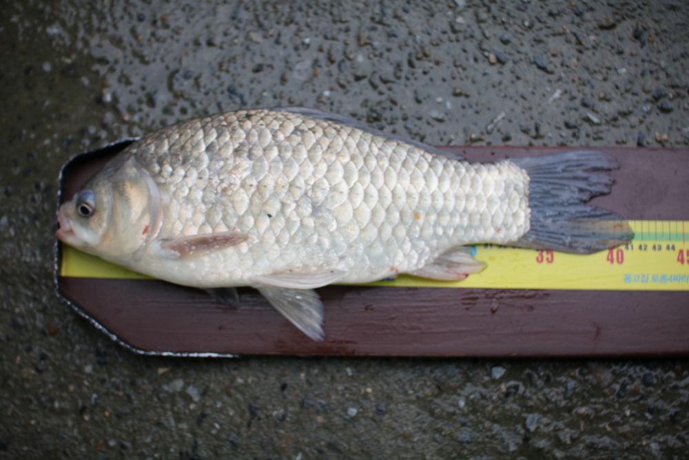 [ũ⺯ȯ]IMG_7038.JPG