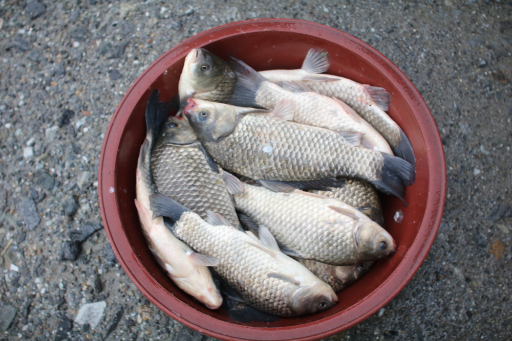 [ũ⺯ȯ]IMG_7065.JPG