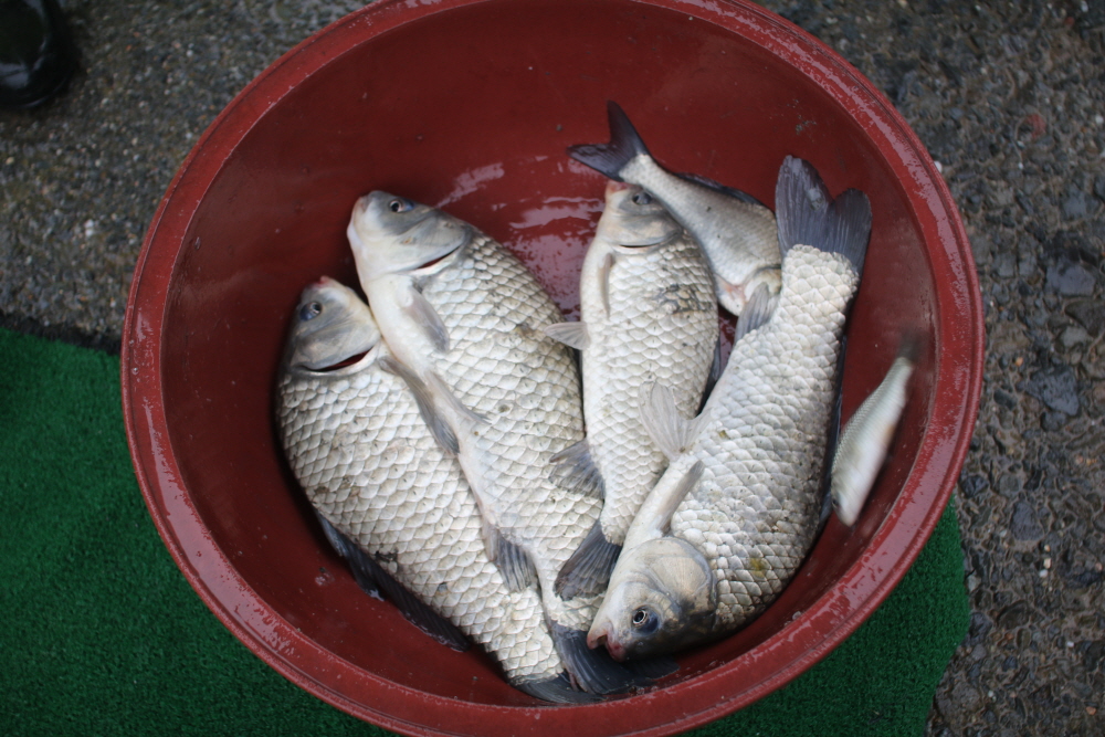[ũ⺯ȯ]IMG_7077.JPG