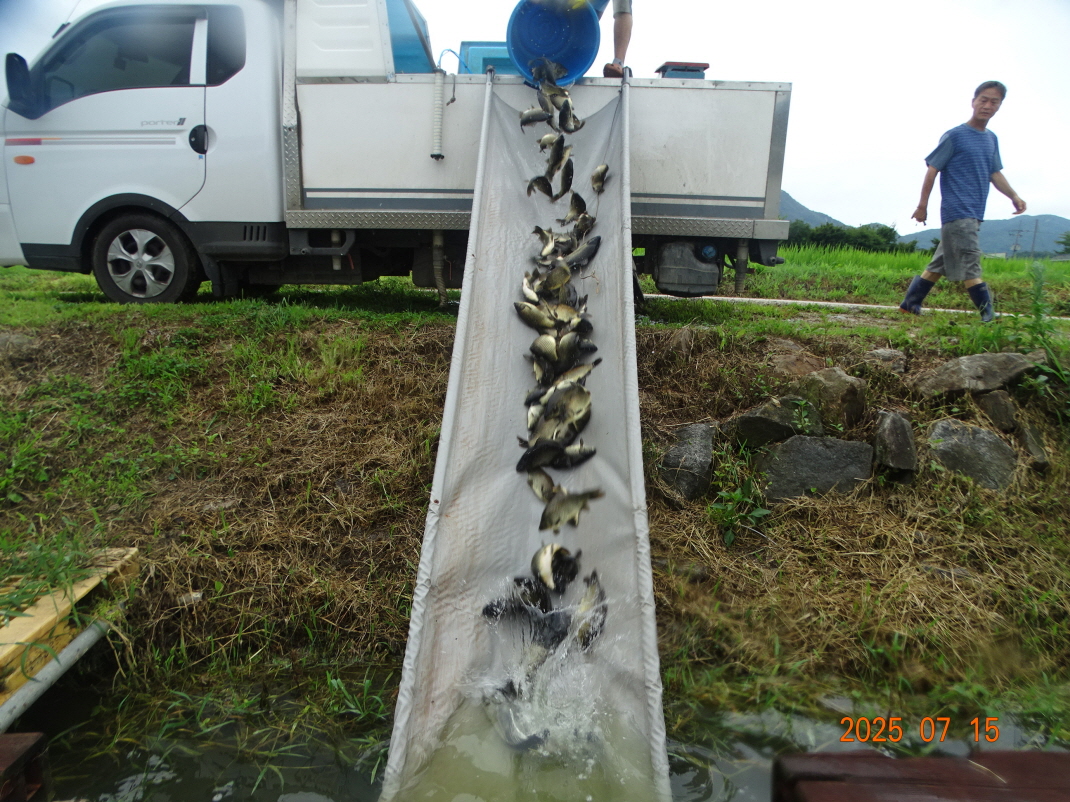 DSC04535.JPG