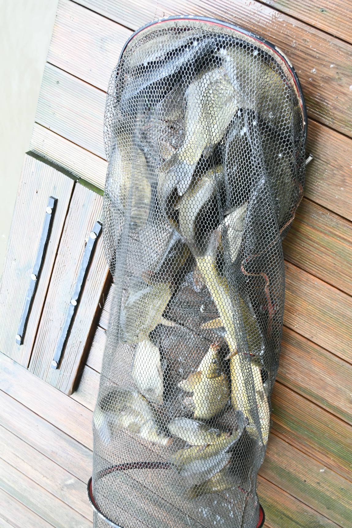 DSC_3724.JPG