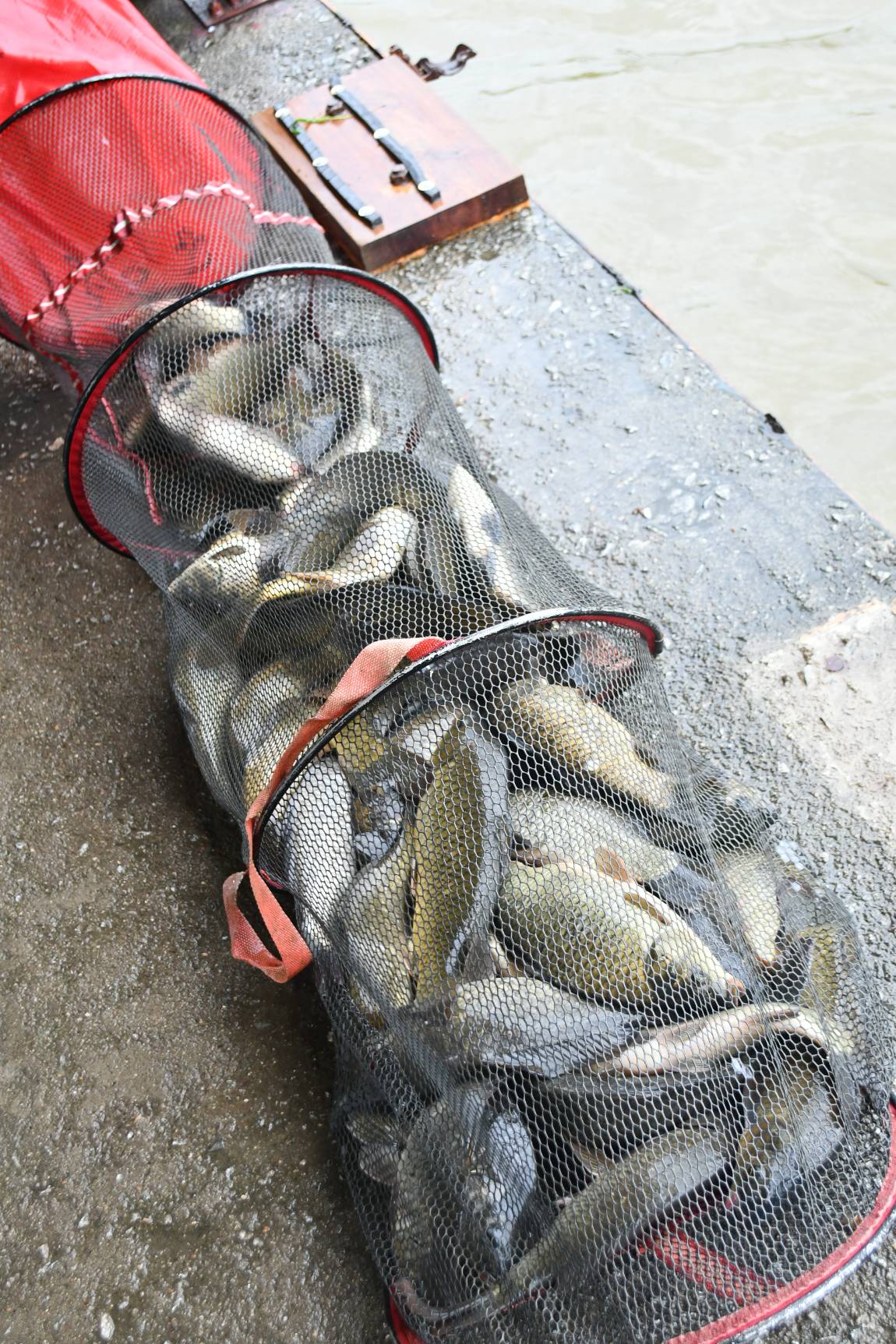 DSC_3729.JPG