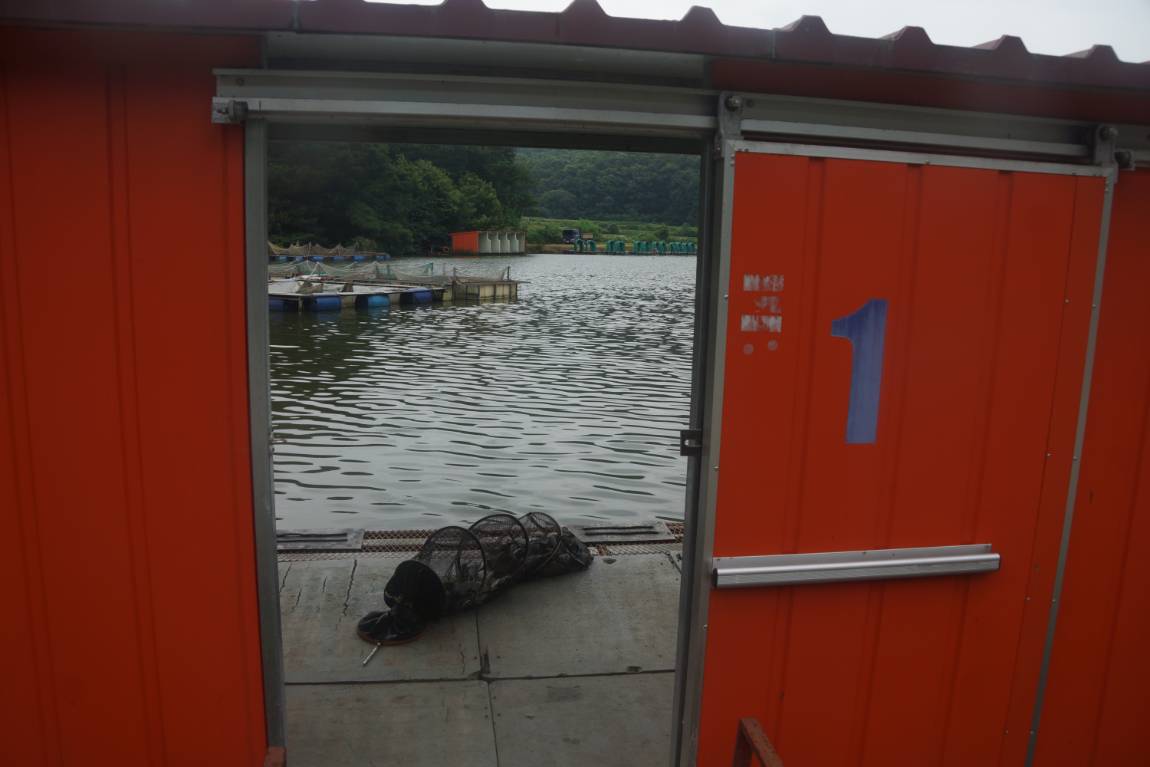 DSC02033.JPG