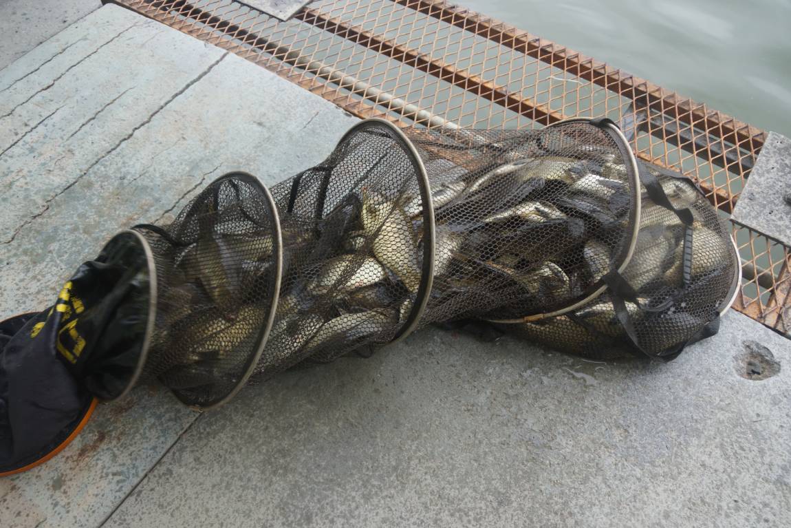 DSC02035.JPG