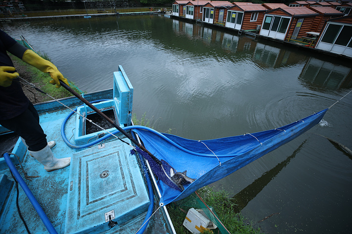 AE2I7087.jpg