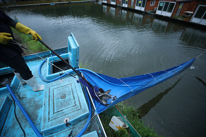 AE2I7104.jpg