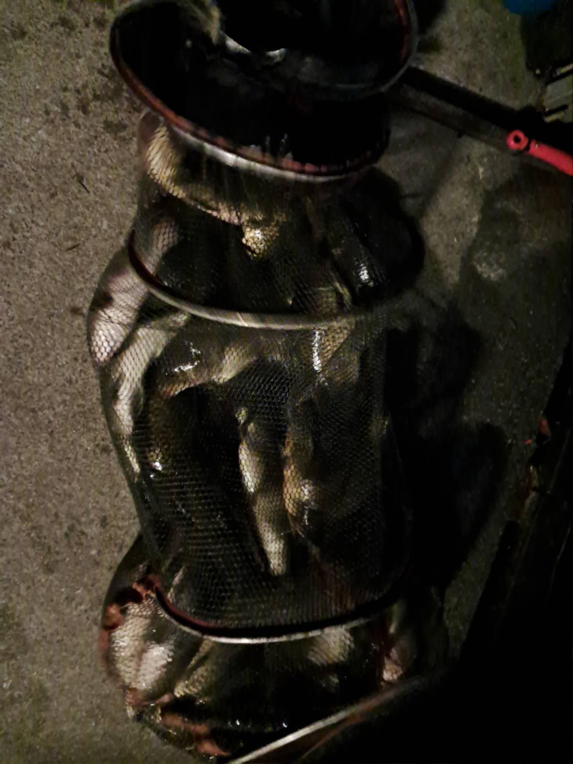 KakaoTalk_20250717_121016371_02.jpg