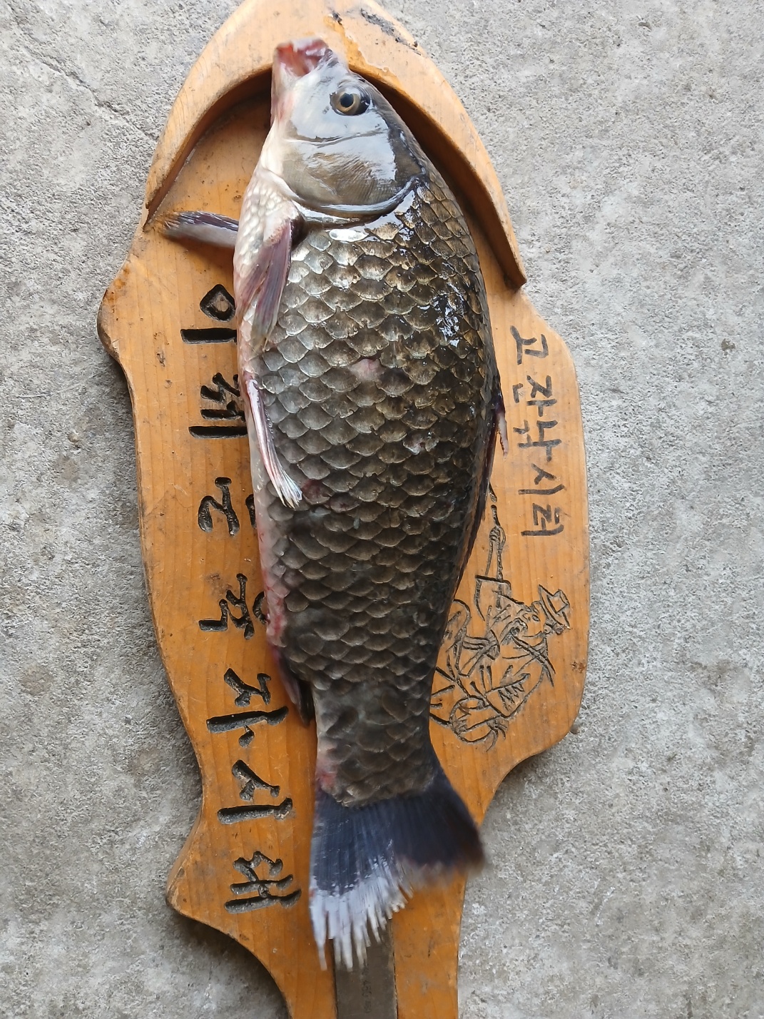 KakaoTalk_20250715_072211007_04.jpg