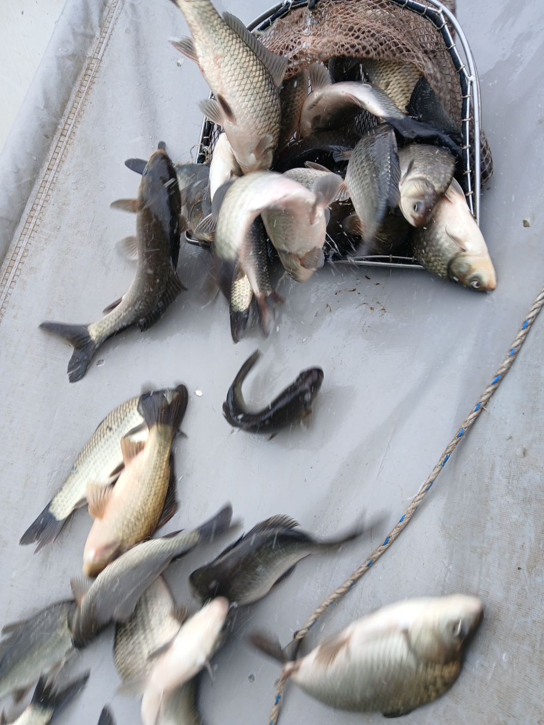 KakaoTalk_20250718_123201865_07.jpg