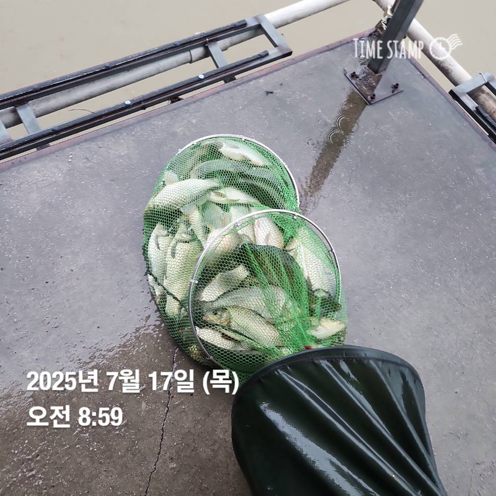1752825342325.jpg