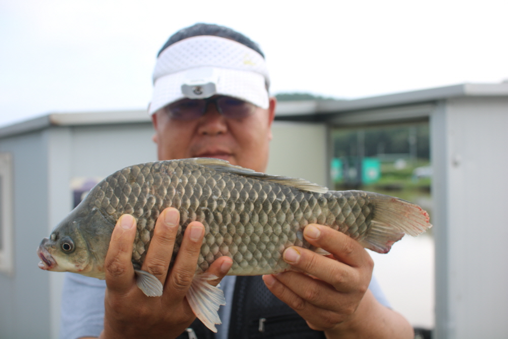 [크기변환]IMG_7156.JPG