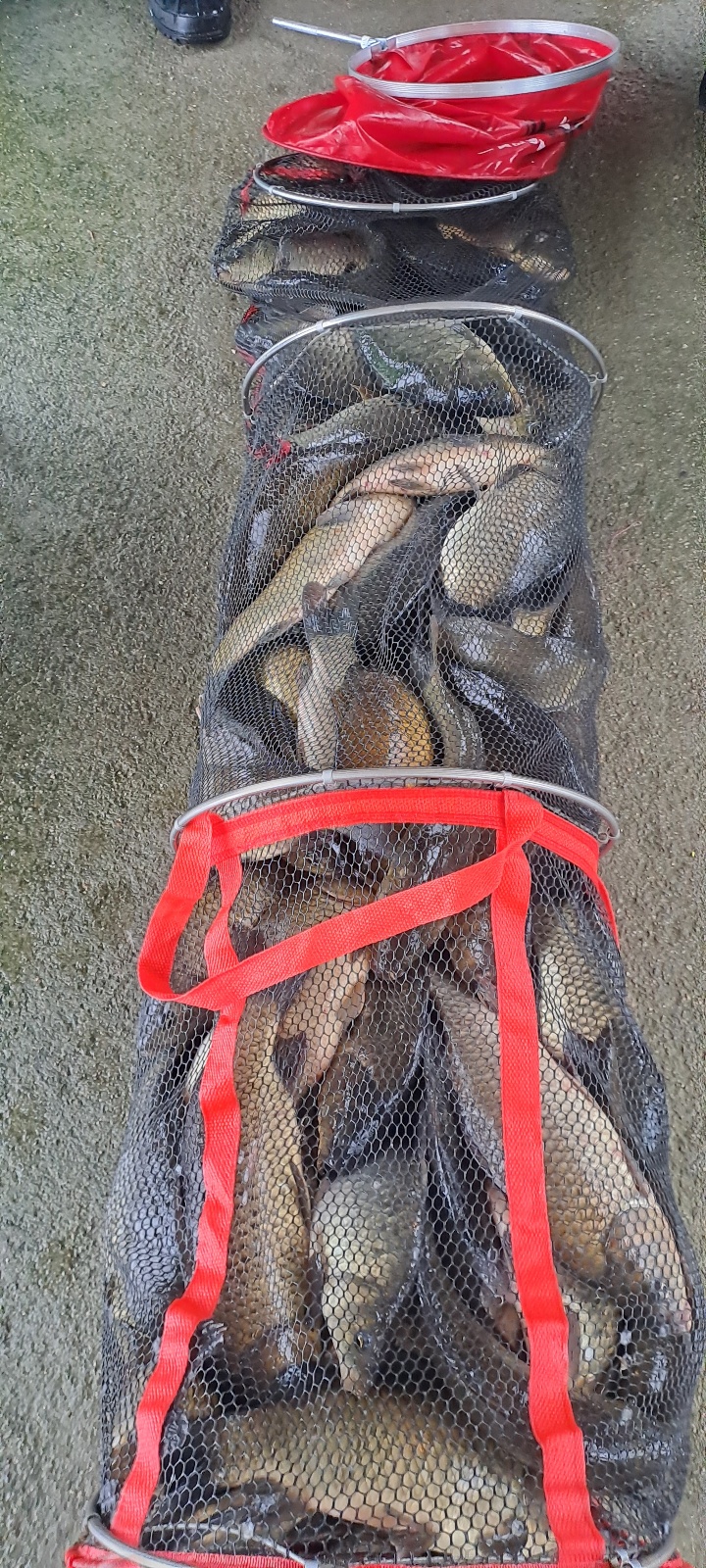 KakaoTalk_20250721_095919442_11.jpg