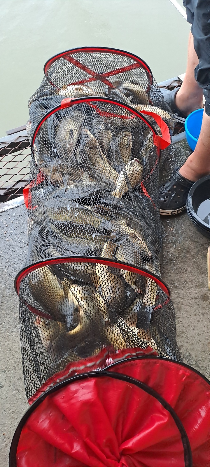 KakaoTalk_20250721_095919442_19.jpg