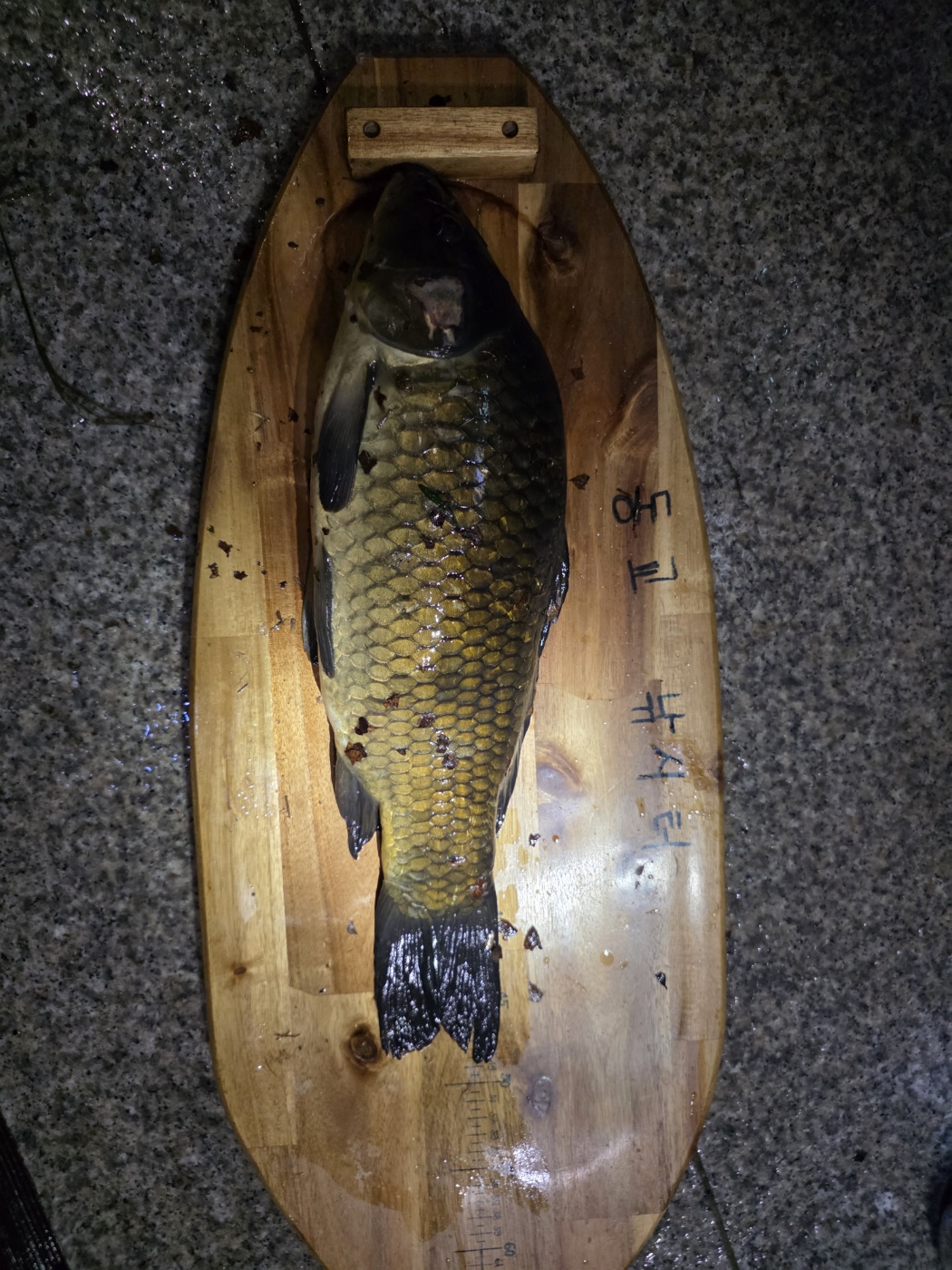 KakaoTalk_20250720_154643265.jpg