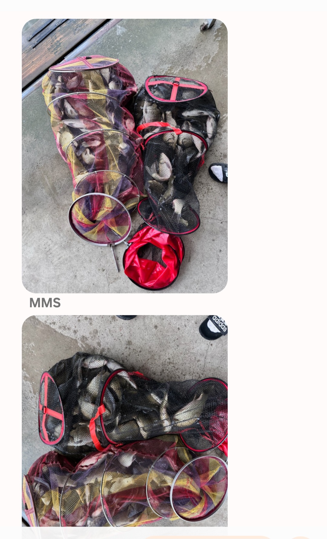 Screenshot_20250720_102047_Messages.jpg