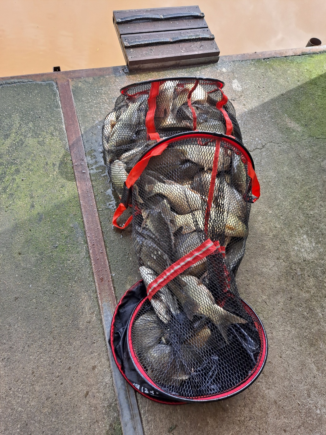 1753085907729.jpg