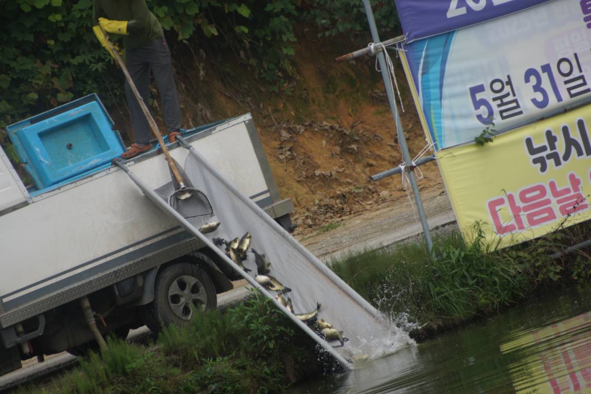 DSC02218.JPG