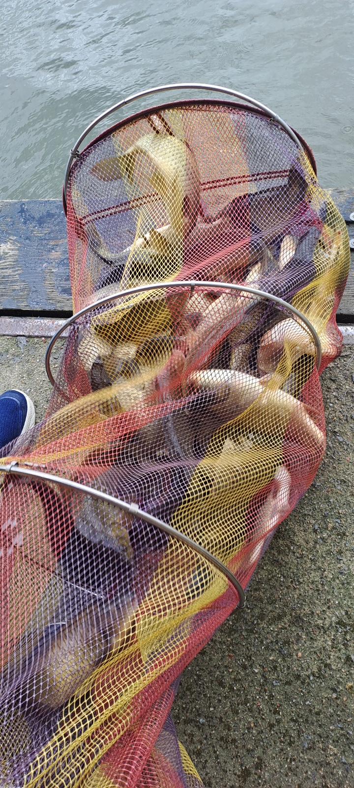KakaoTalk_20250723_095016490_13.jpg