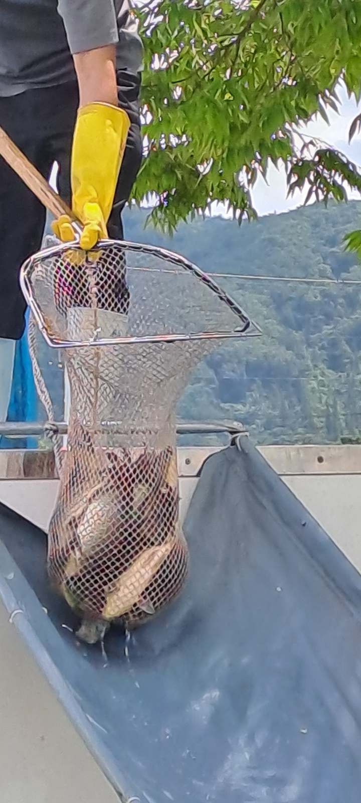 KakaoTalk_20250723_095016490_19.jpg