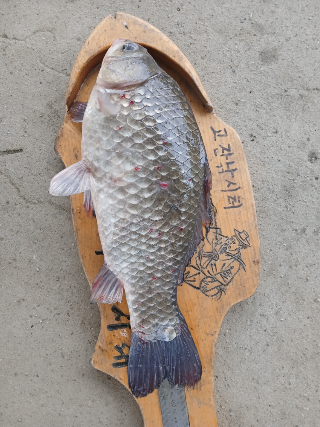 KakaoTalk_20250719_080335858_03.jpg