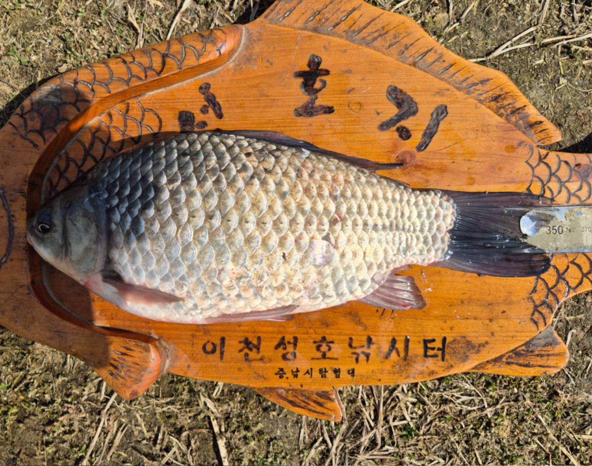 35 (2) - 복사본.jpg