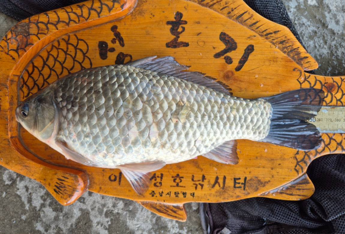36 (3) - 복사본.jpg
