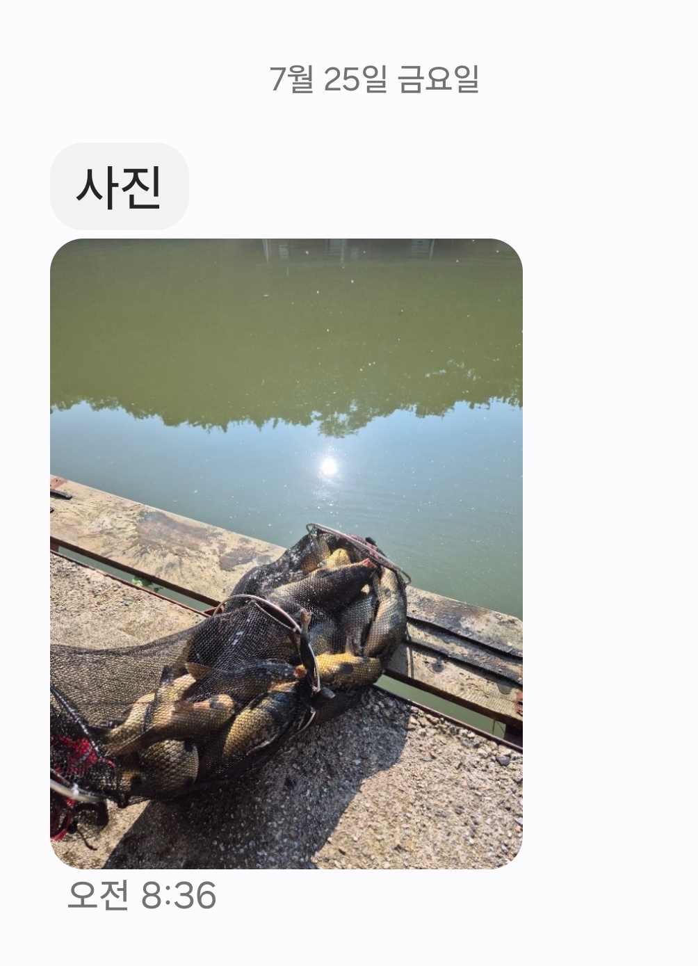 KakaoTalk_20250725_165031730.jpg