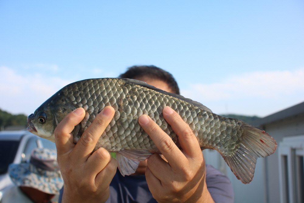 [크기변환]IMG_7313.JPG