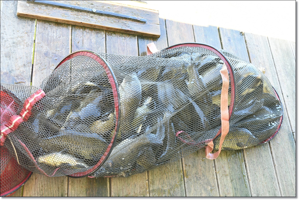 DSC_3842.JPG
