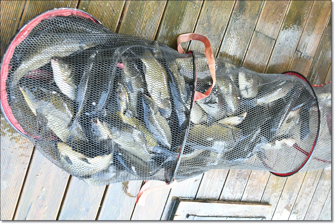 DSC_3868.JPG