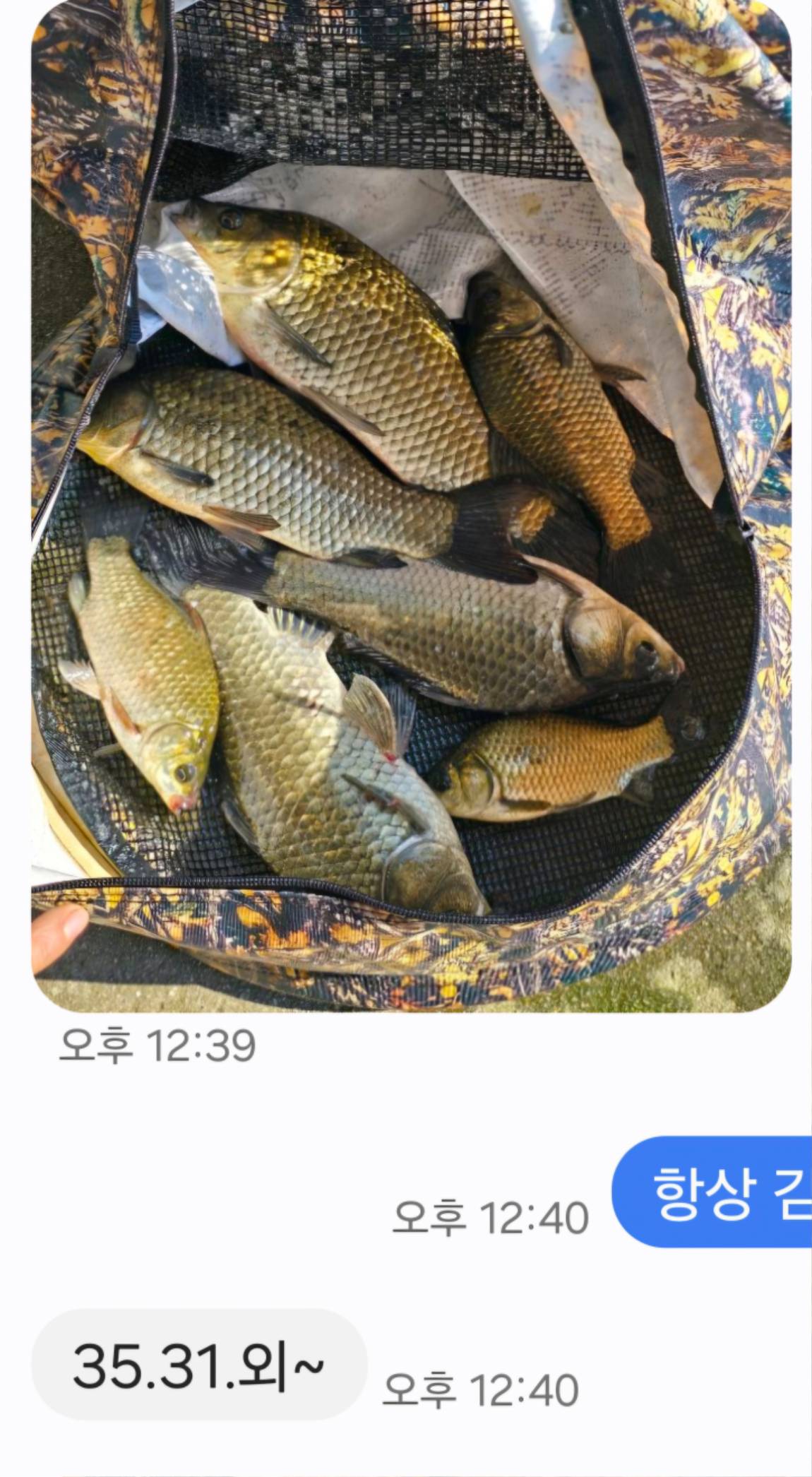 Screenshot_20250728_124141_Messages.jpg