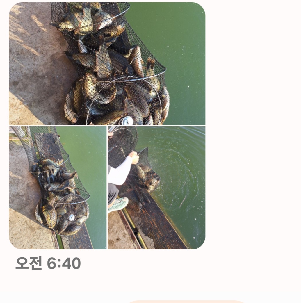 Screenshot_20250727_065122_Messages.jpg