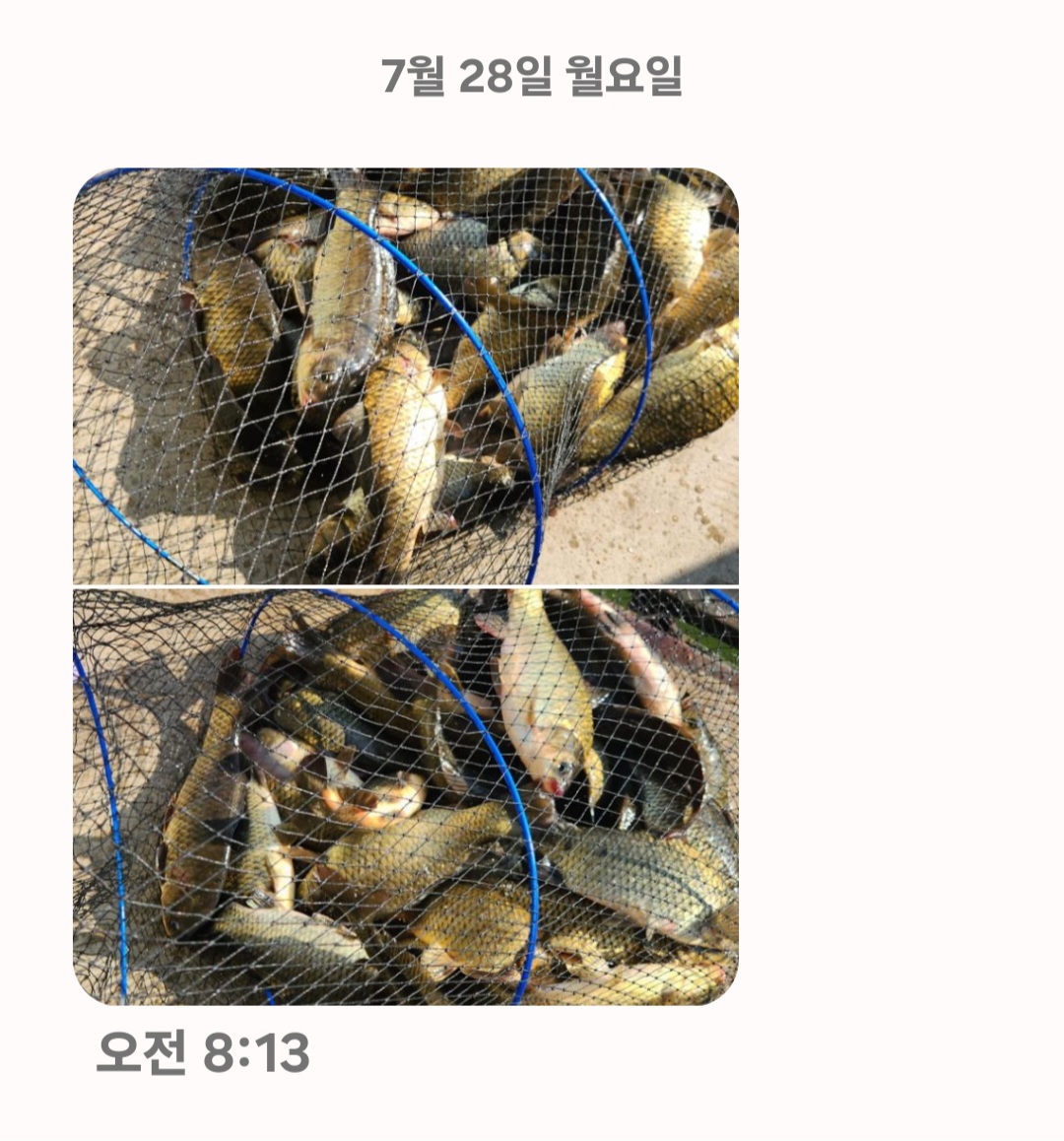 Screenshot_20250728_082413_Messages.jpg