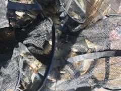 IMG_2553.jpg