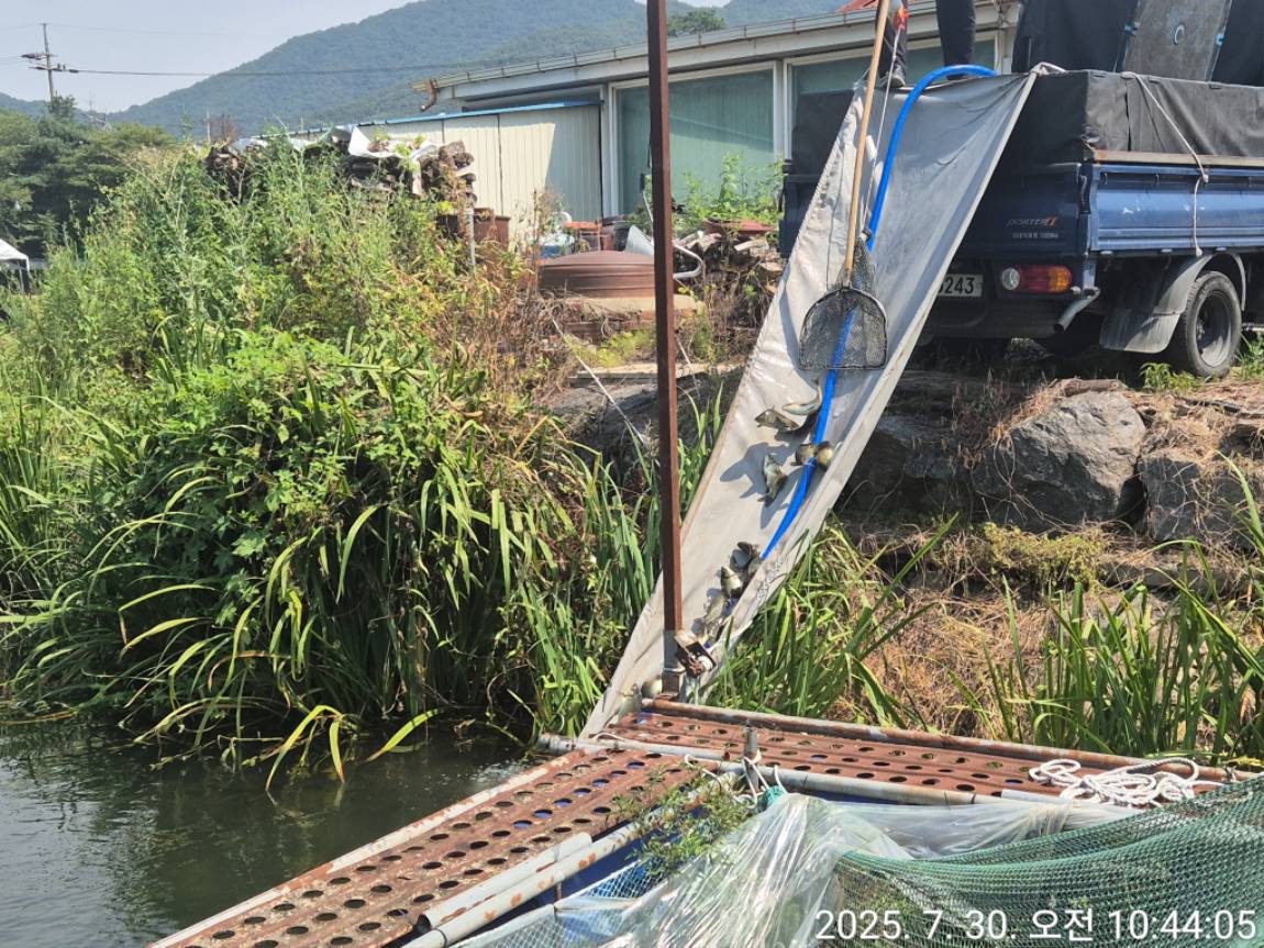 KakaoTalk_20250730_125811359_10.jpg