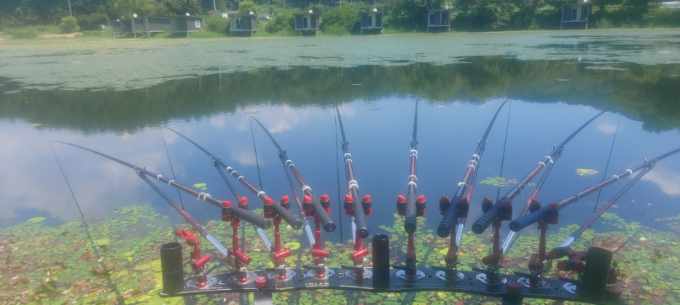 Resized_20250728_113649.jpeg