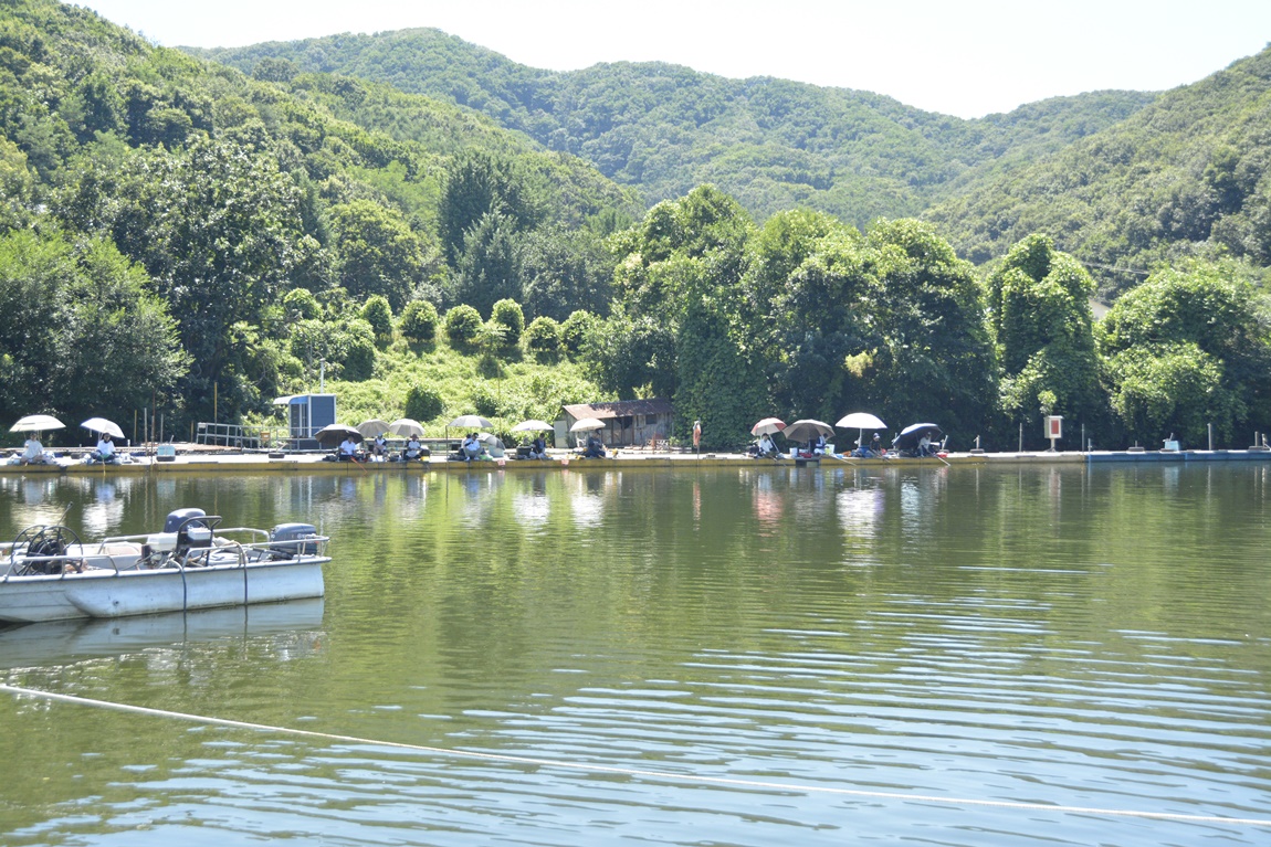 _7102185.JPG