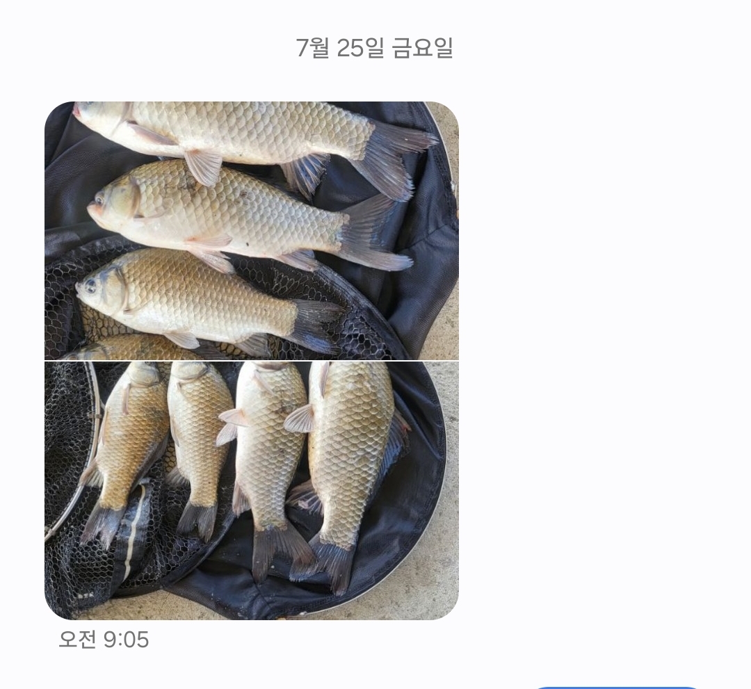 Screenshot_20250731_170515_Messages.jpg