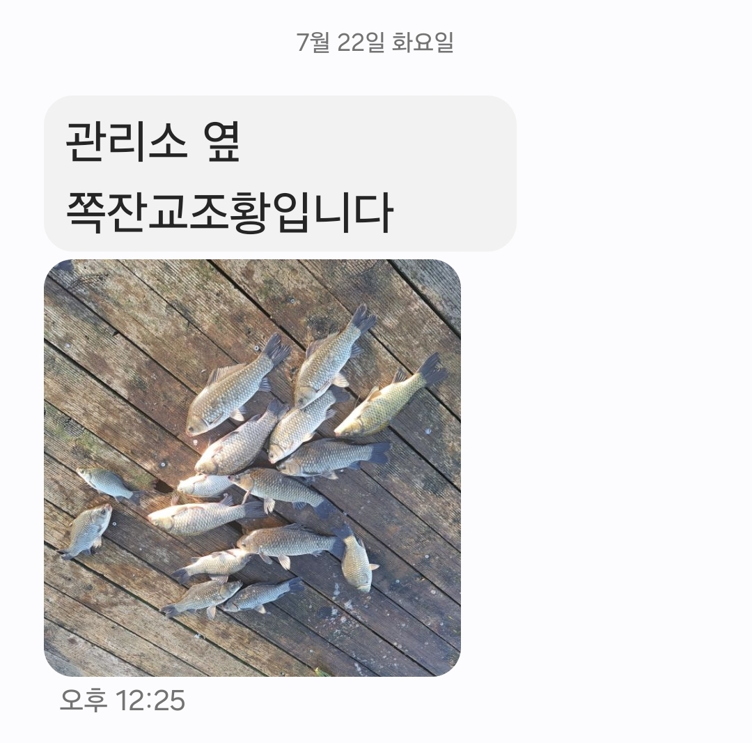Screenshot_20250731_170230_Messages.jpg